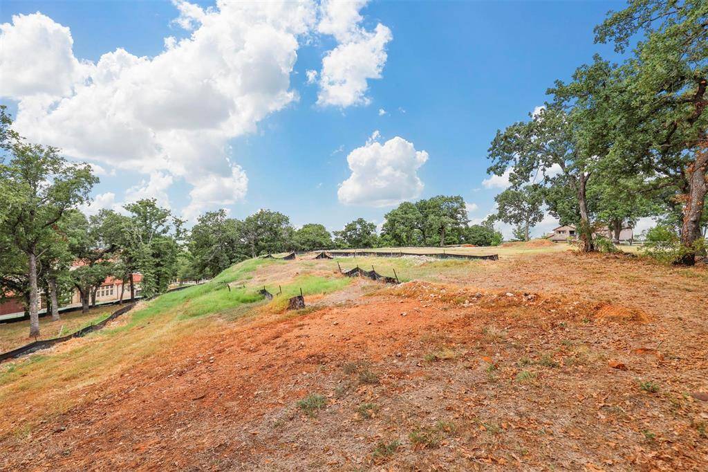 Burleson, TX 76028,116 Country Vista Circle