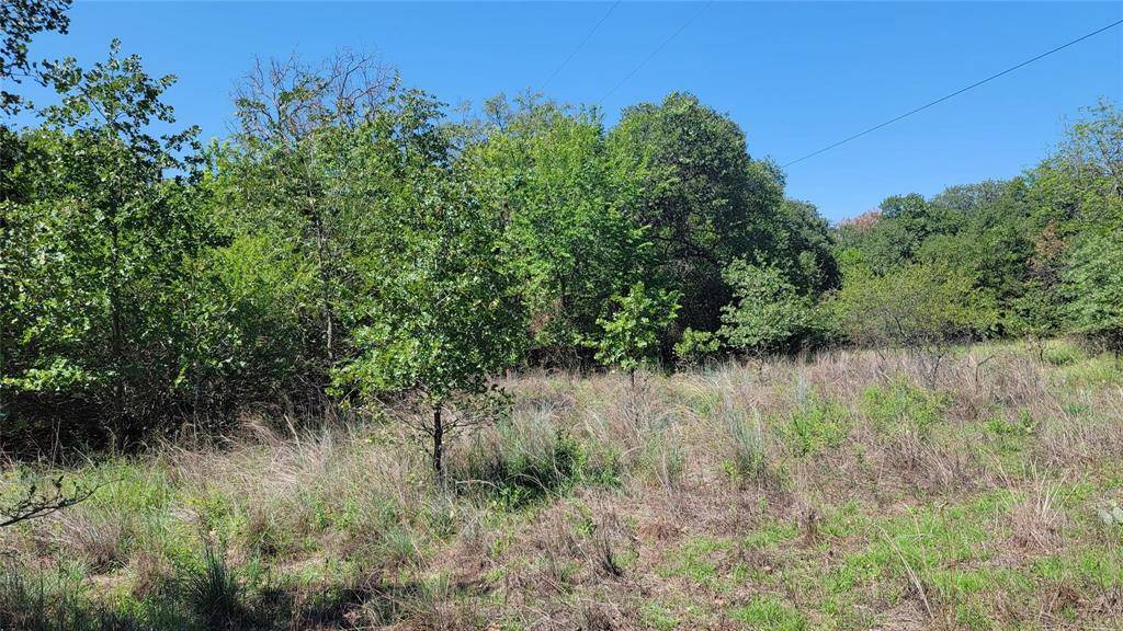 Azle, TX 76020,1070 Kerry Lane