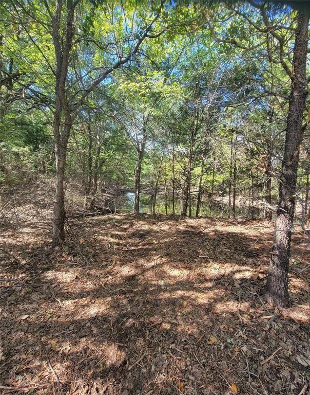 Azle, TX 76020,1070 Kerry Lane