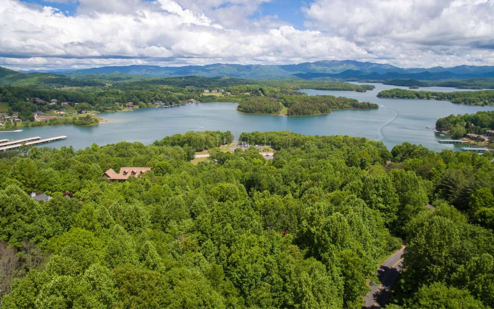 Hiawassee, GA 30546,LT 26 Lake Forest Estates