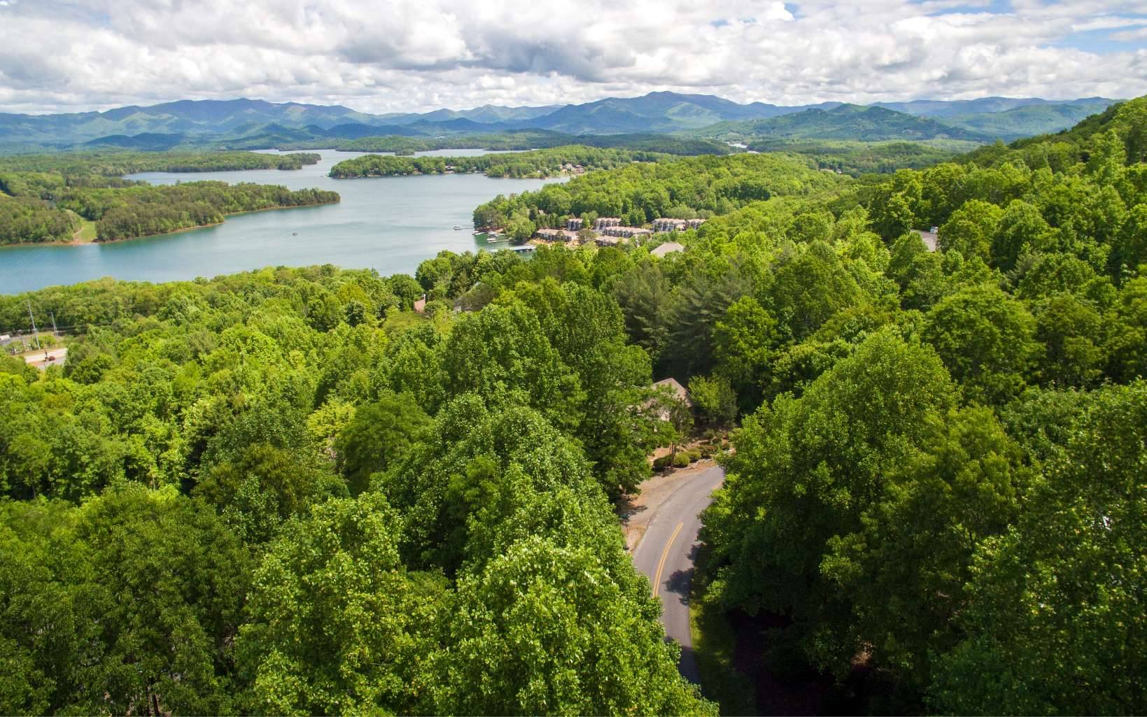 Hiawassee, GA 30546,LT 26 Lake Forest Estates