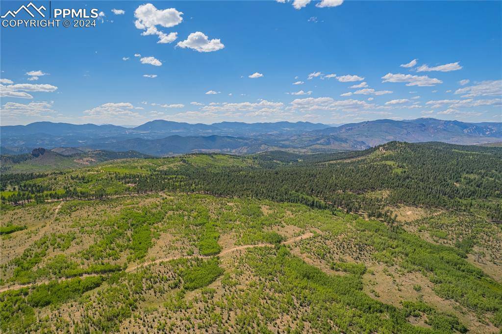 Florissant, CO 80816,Unit 4 County Road 51