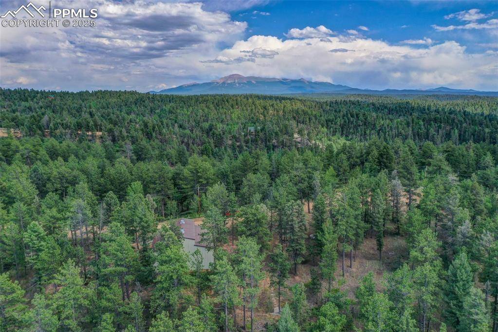Florissant, CO 80816,449 Woody Creek RD