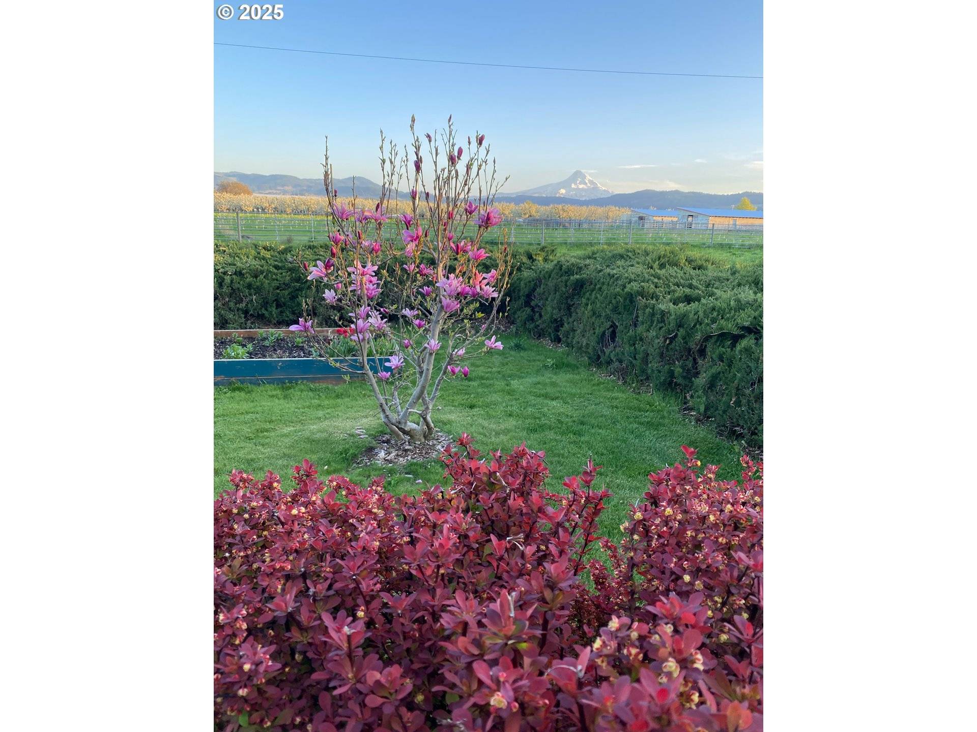 Hood River, OR 97031,1684 ORCHARD RD
