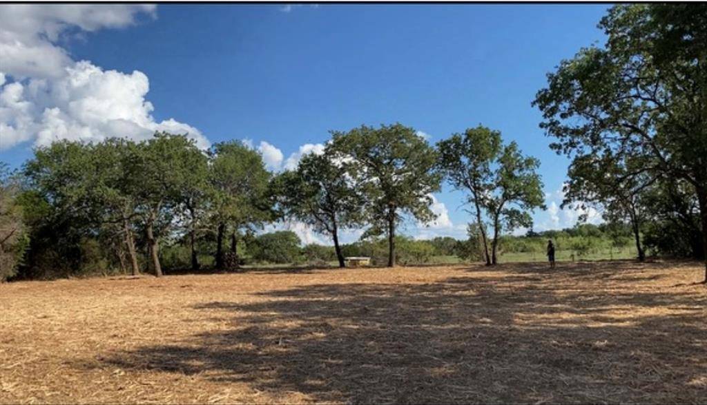 Glen Rose, TX 76043,TBD CR 2030 Lot 6