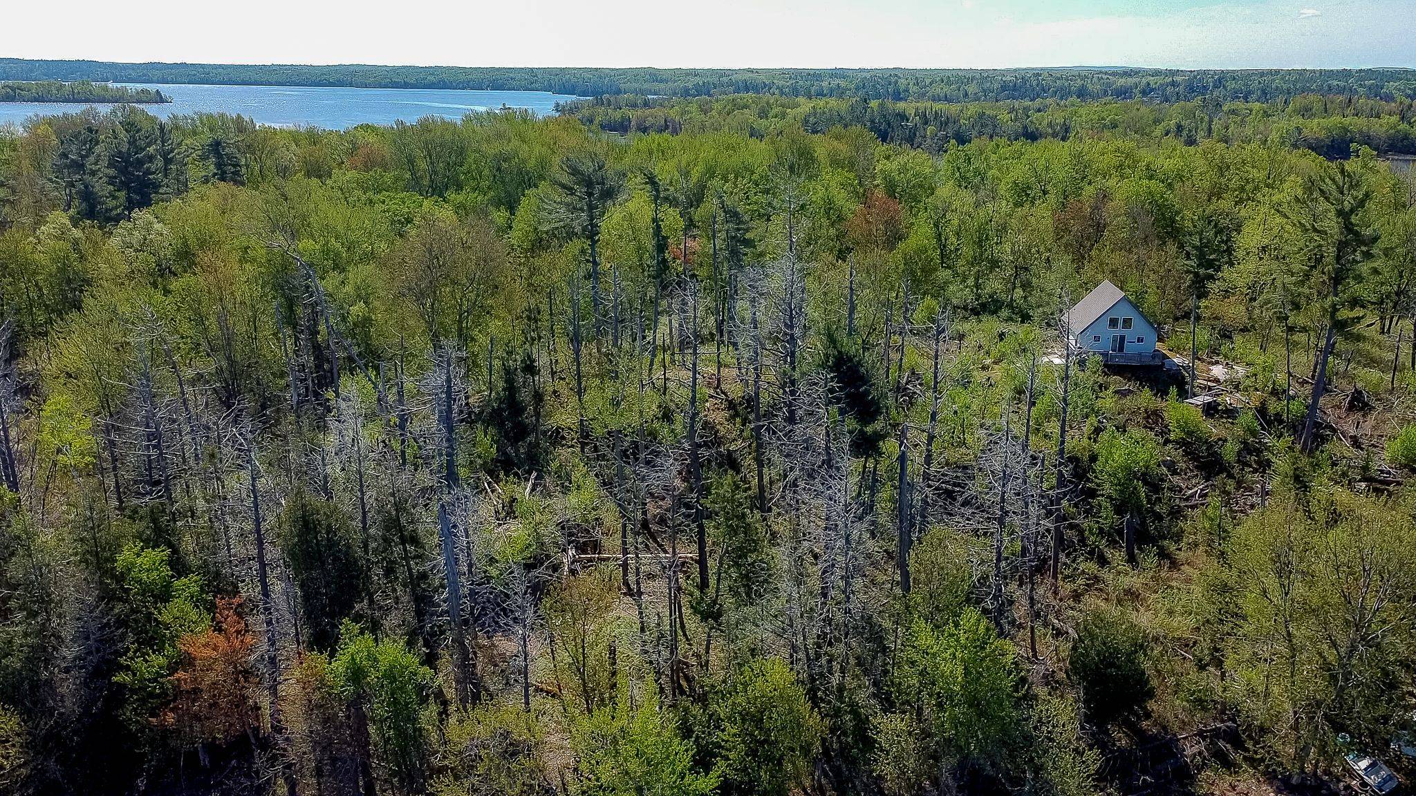 Callander, ON P0H 1H0,Lot 3 Grand Trunk Island N/A