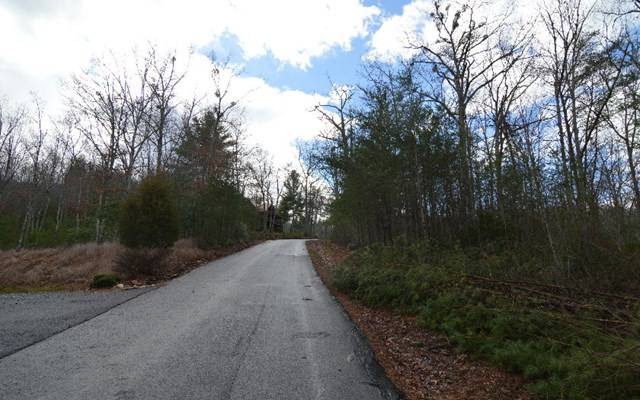 Blairsville, GA 30512,Lot 48 Laurel Brook