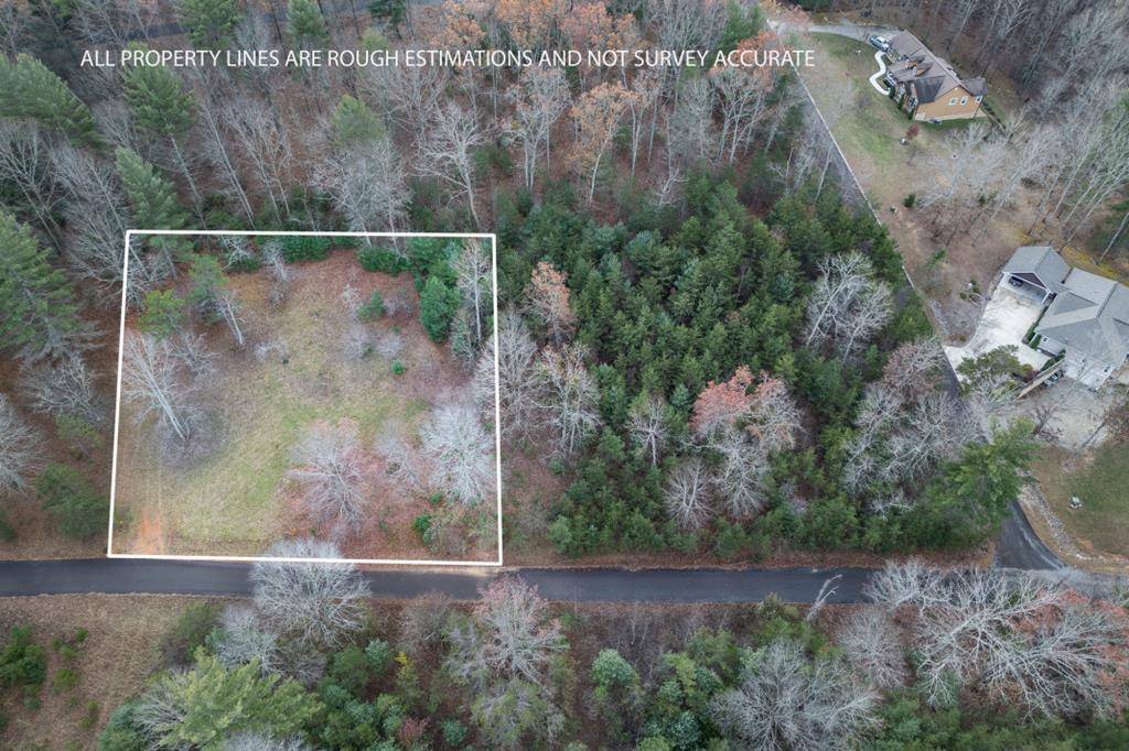 Blairsville, GA 30512,Lot 7 B & W Ranch Rd Lot 7