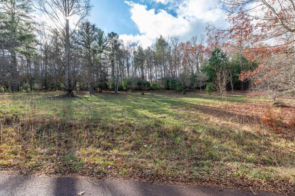 Blairsville, GA 30512,Lot 7 B & W Ranch Rd Lot 7