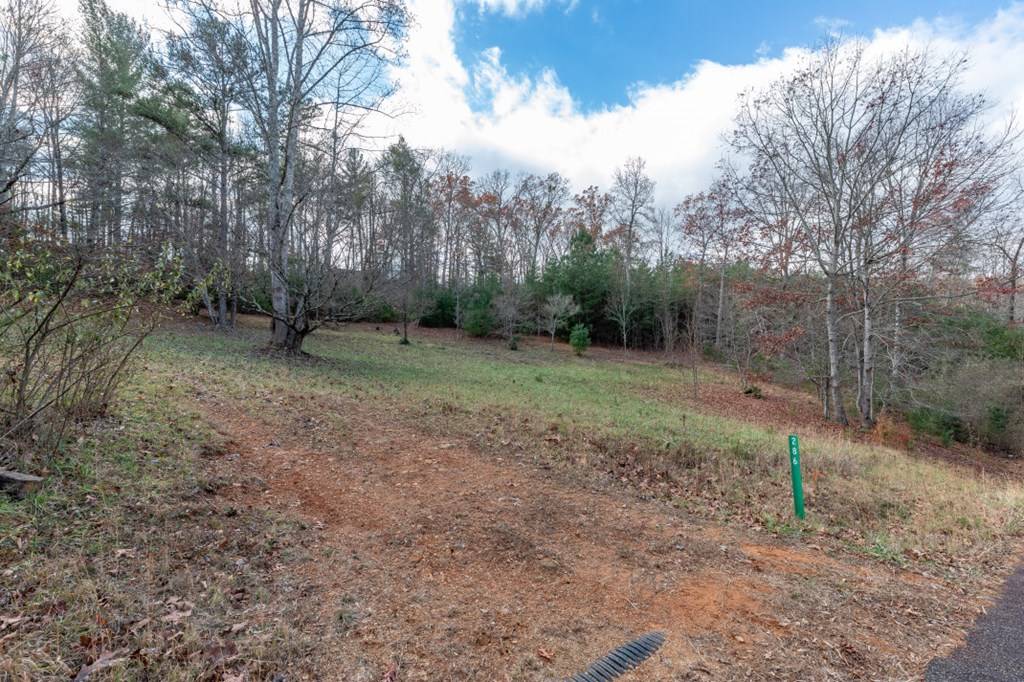 Blairsville, GA 30512,Lot 7 B & W Ranch Rd Lot 7