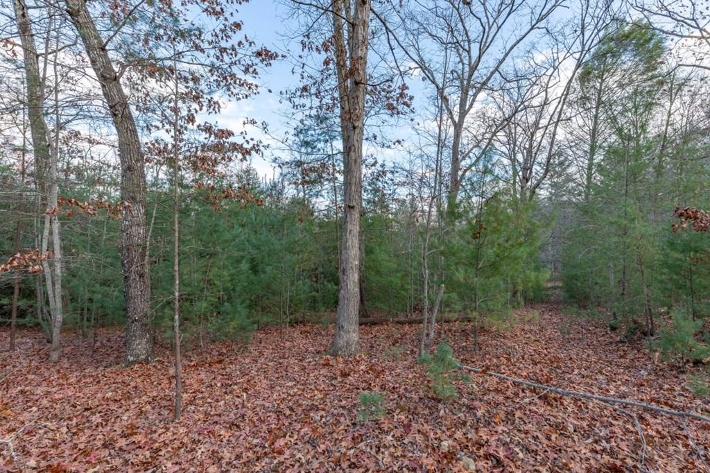 Blairsville, GA 30512,Lot 8 B & W Ranch Rd Lot 8