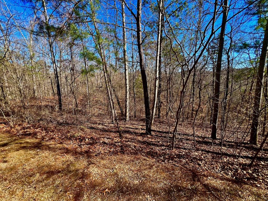 Ellijay, GA 30540,32 Harris Creek Drive