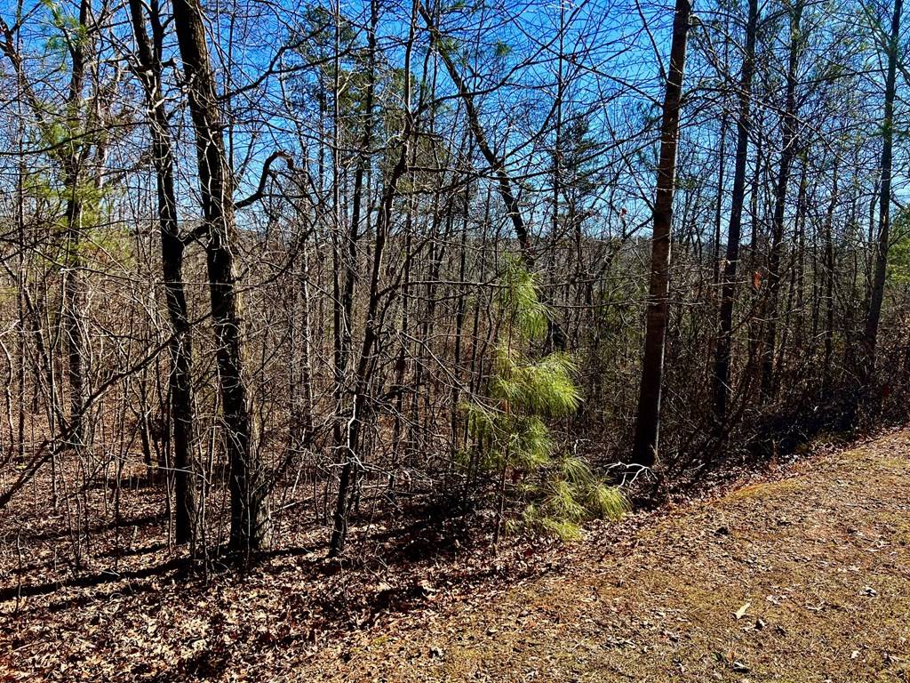 Ellijay, GA 30540,32 Harris Creek Drive