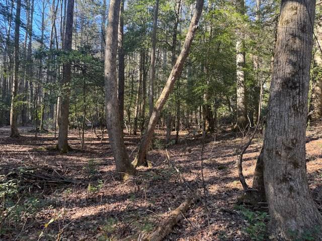 Blairsville, GA 30514,Lot 3 Happy Hollow Lane