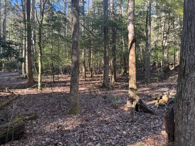 Blairsville, GA 30514,Lot 3 Happy Hollow Lane