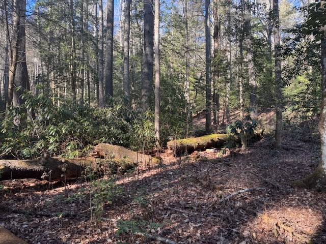 Blairsville, GA 30514,Lot 3 Happy Hollow Lane