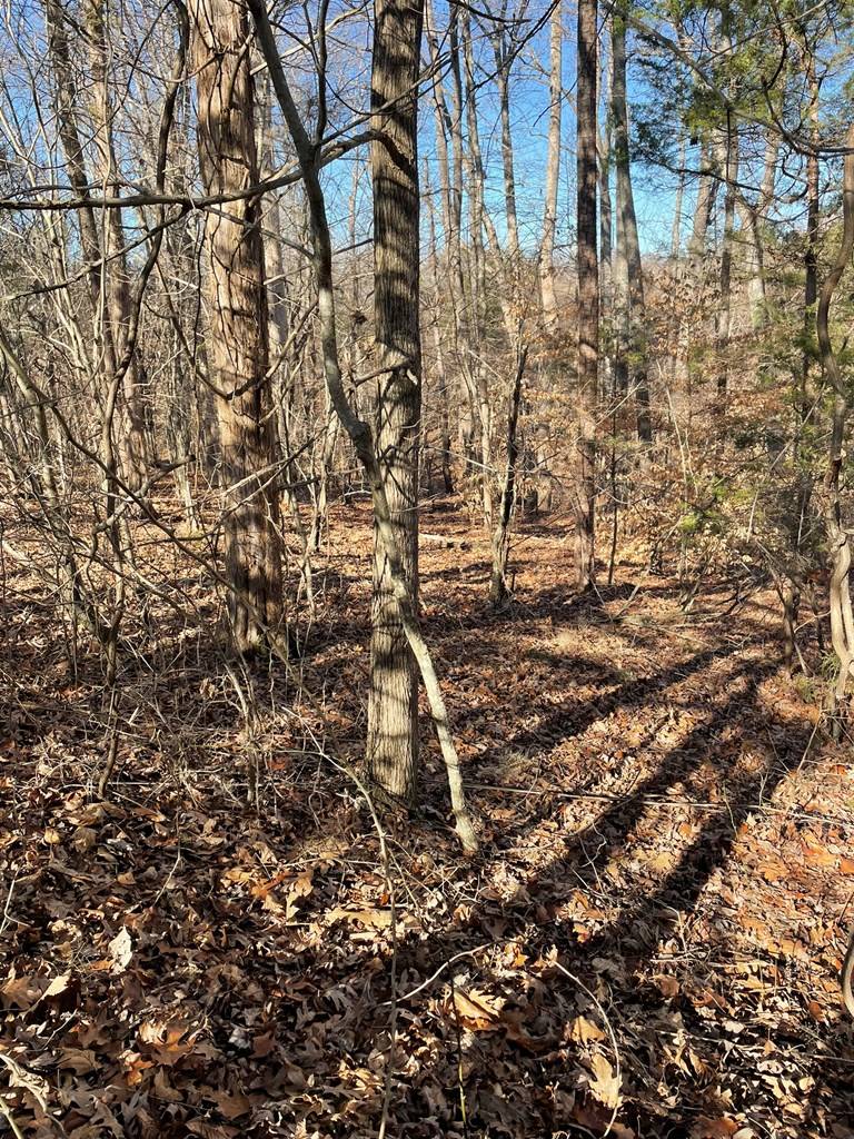 Clarksville, VA 23927,Lot 6 Fern Drive