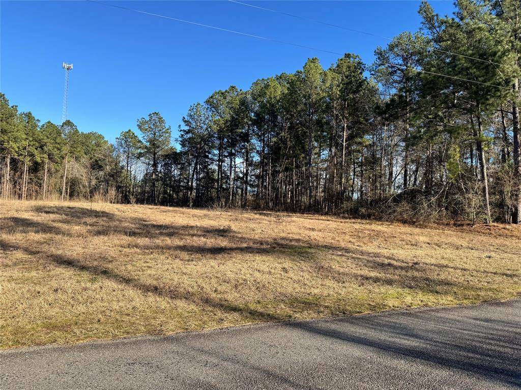 Minden, LA 71055,397 Doc Steed Road
