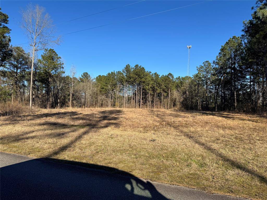 Minden, LA 71055,397 Doc Steed Road