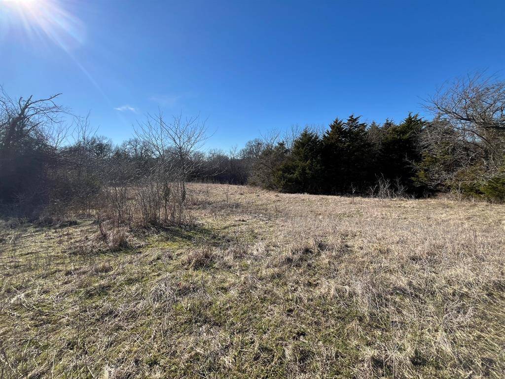 Blue Ridge, TX 75424,15868 Fm-981