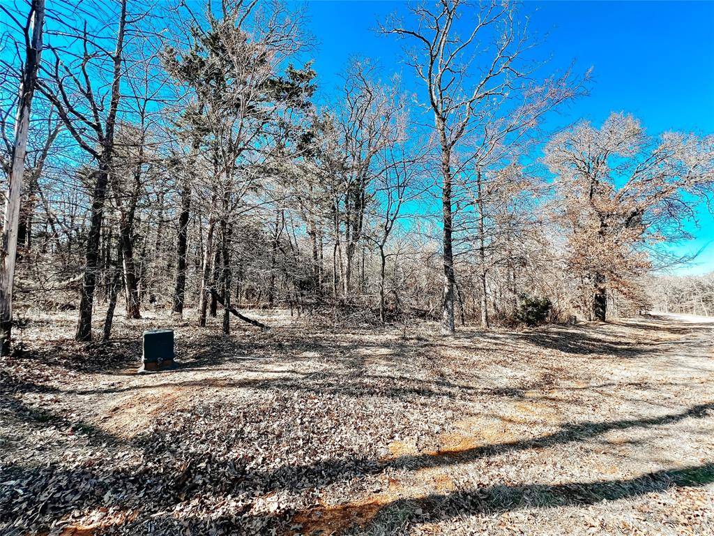 Gordonville, TX 76245,Lot 10 Castle Pines Circle