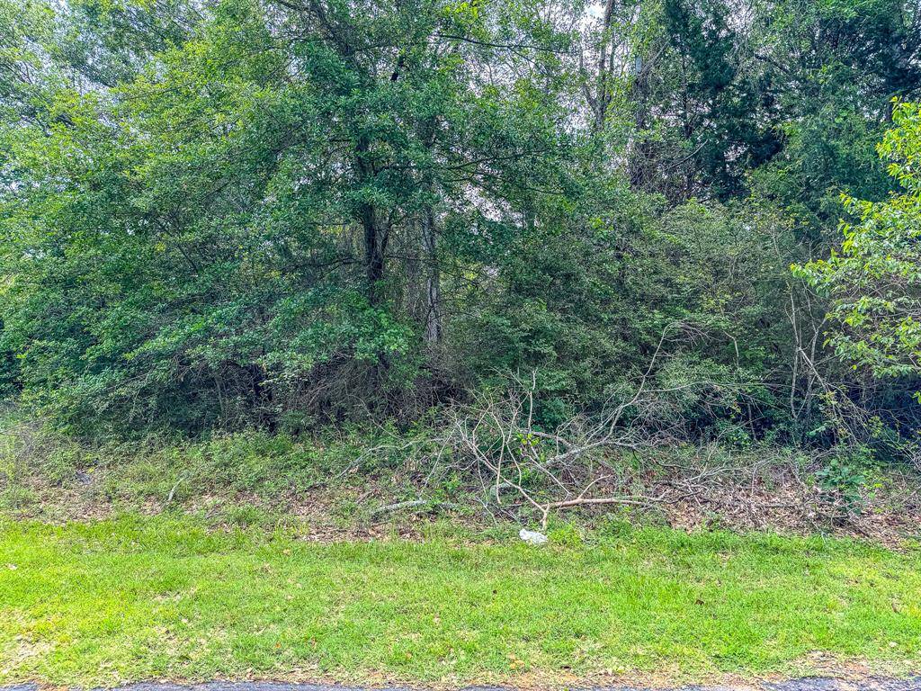 Streetman, TX 75859,Lot 5 Appomattox