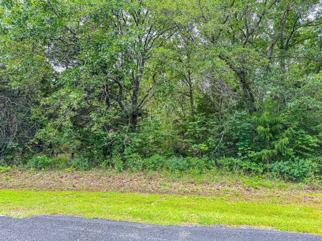 Streetman, TX 75859,Lot 6 Appomattox