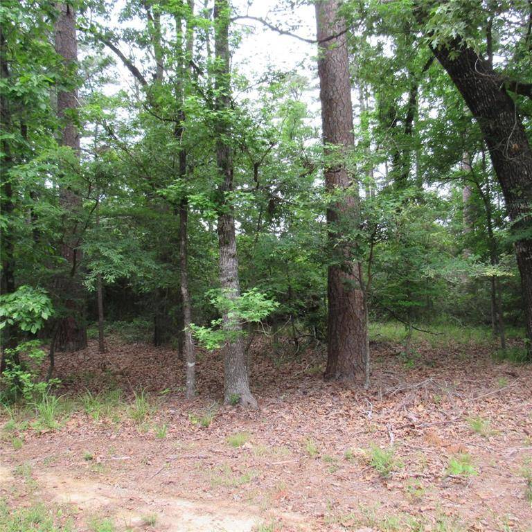 Hawkins, TX 75765,TBD Rolling Ridge