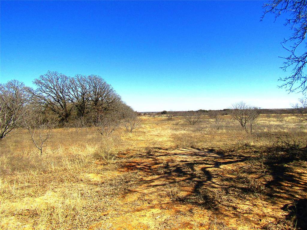 Rising Star, TX 76471,TBD Tract A County Road 268