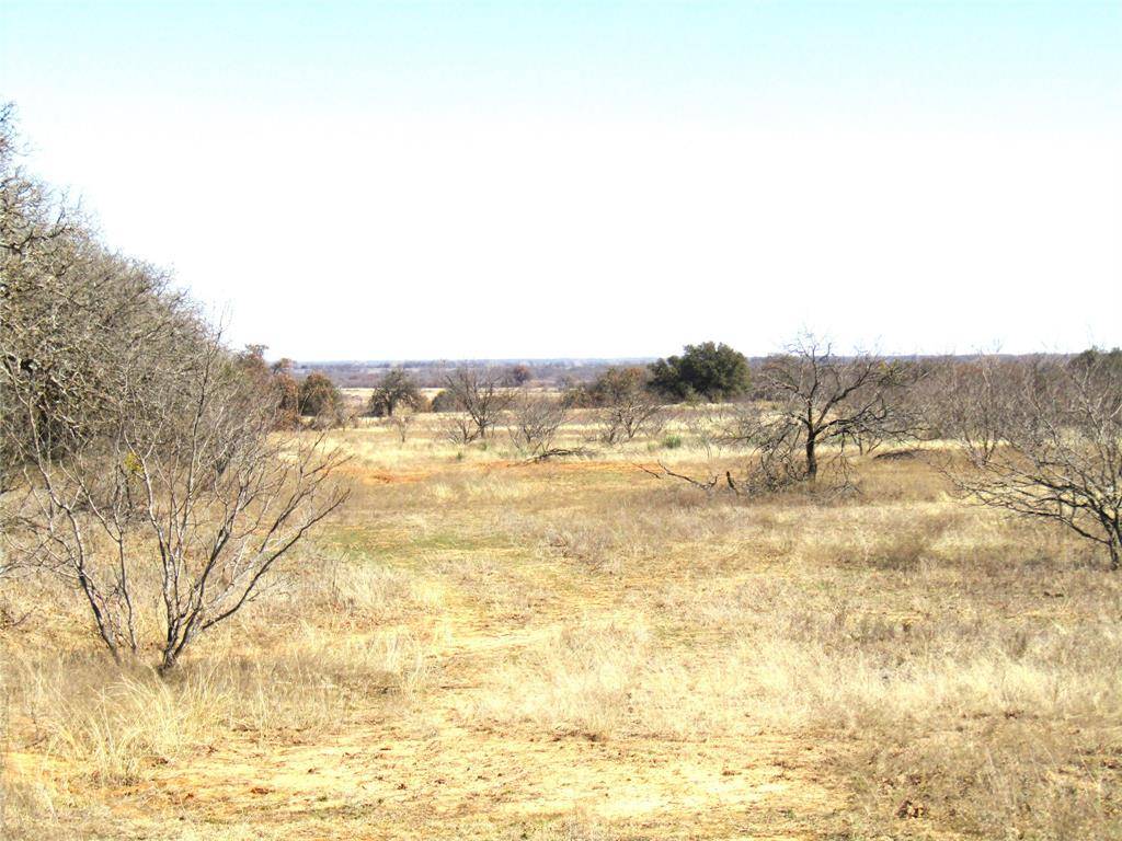 Rising Star, TX 76471,TBD Tract A County Road 268