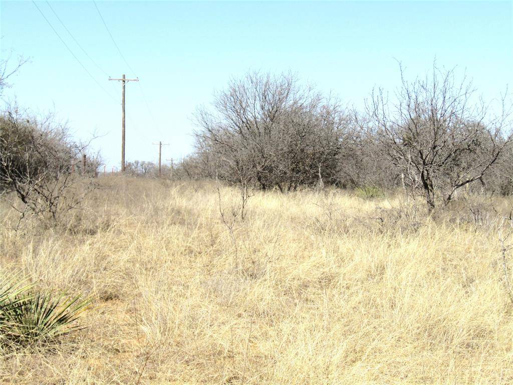 Rising Star, TX 76471,TBD Tract A County Road 268