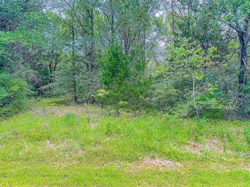 Streetman, TX 75859,Lot 4 Shiloh