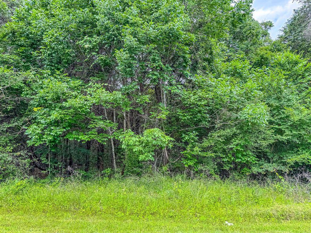 Streetman, TX 75859,Lot 4 Shiloh