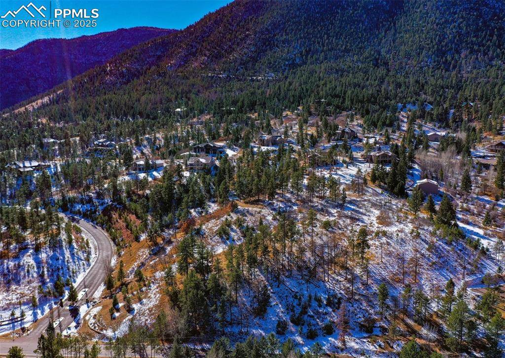 Cascade, CO 80809,5330 Chipita Pines DR