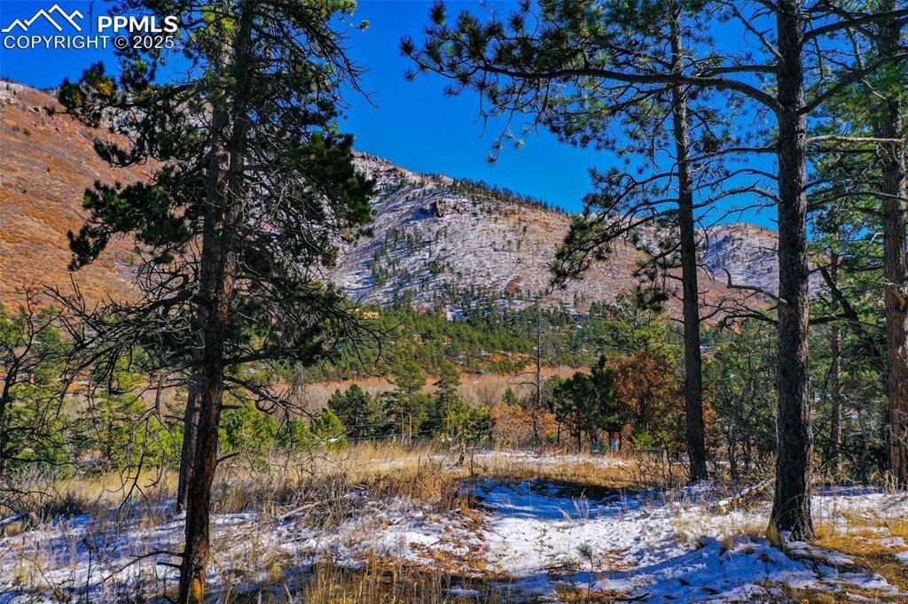 Cascade, CO 80809,5330 Chipita Pines DR