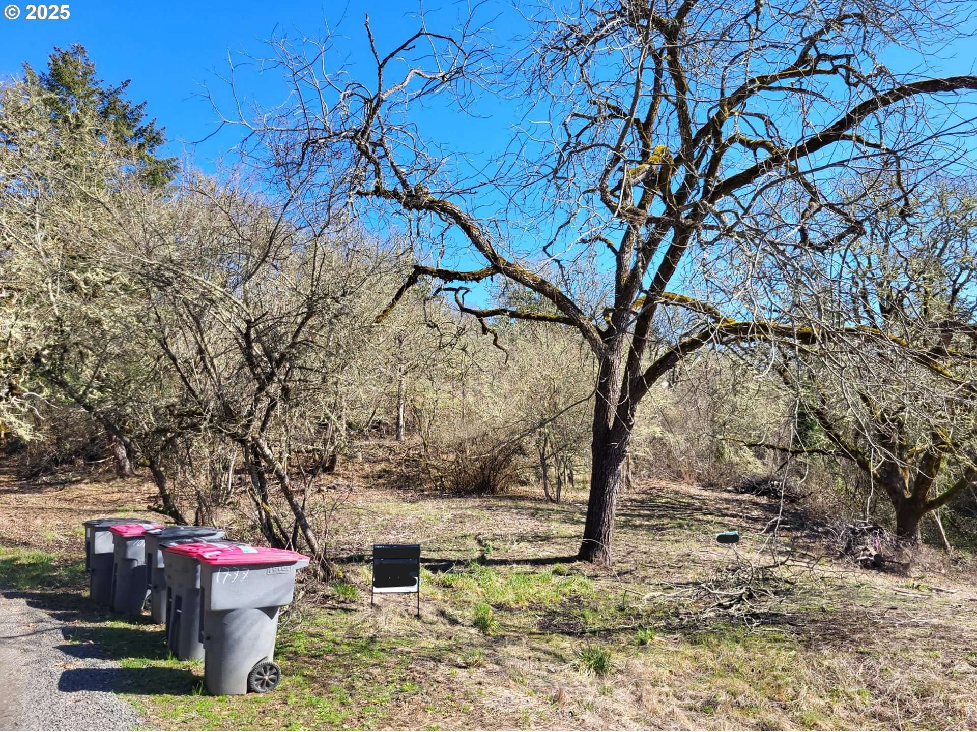 Sheridan, OR 97378,NE SKYLINE DR