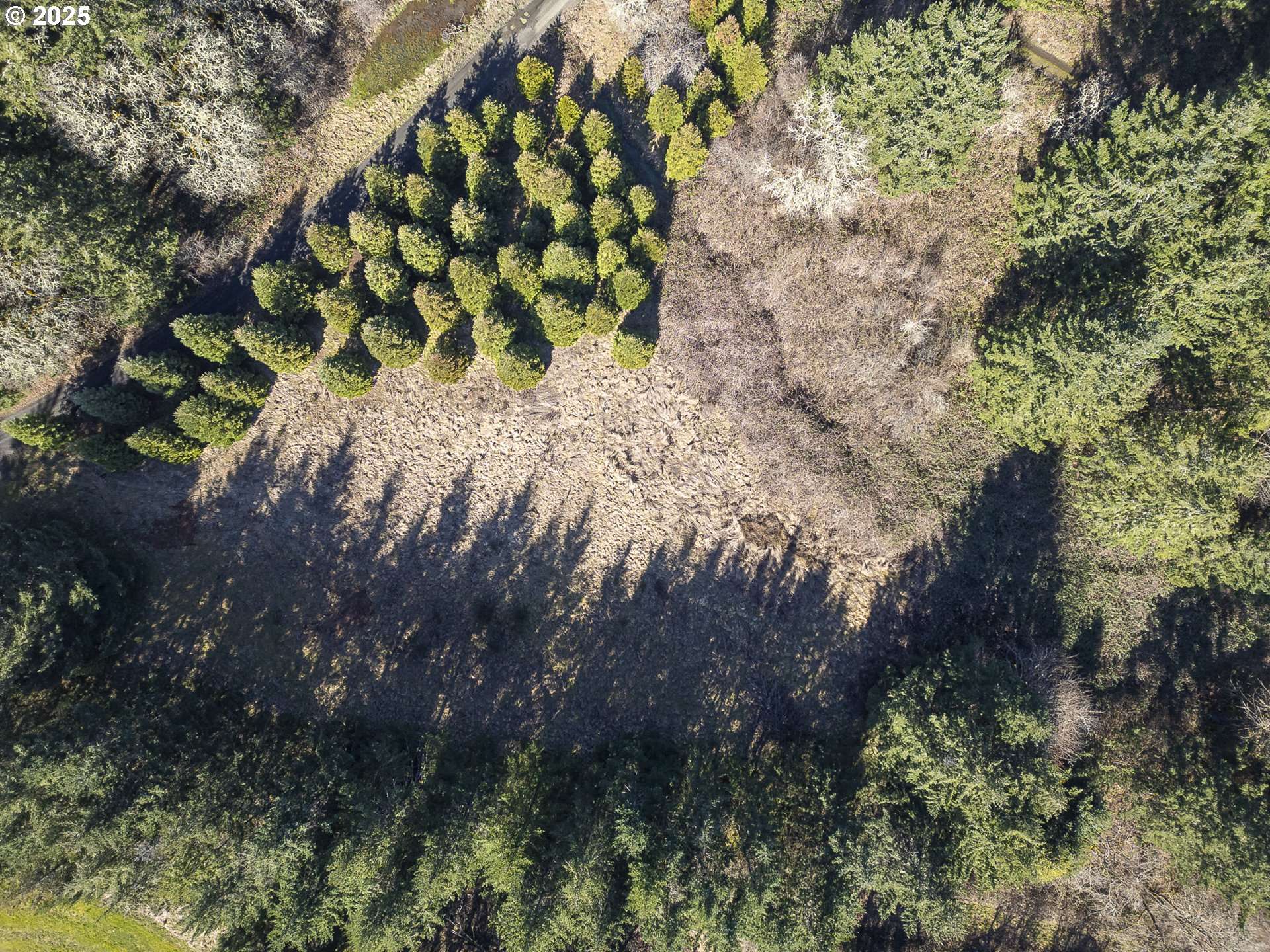 Dallas, OR 97338,Orchard Knob RD