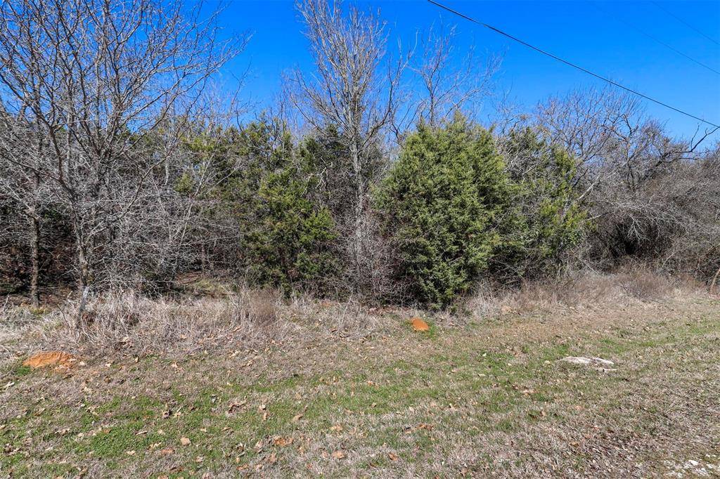 Whitney, TX 76692,22038 Raintree Court