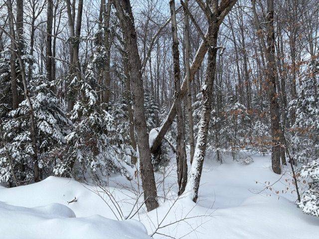Huntsville, ON P0B 1M0,1788 Old Muskoka RD