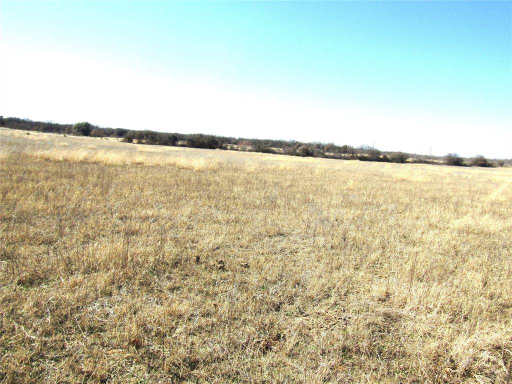 Rising Star, TX 76471,1801 County Road 268