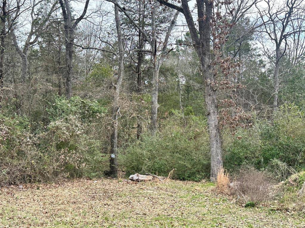Athens, TX 75751,913 W Cayuga Drive