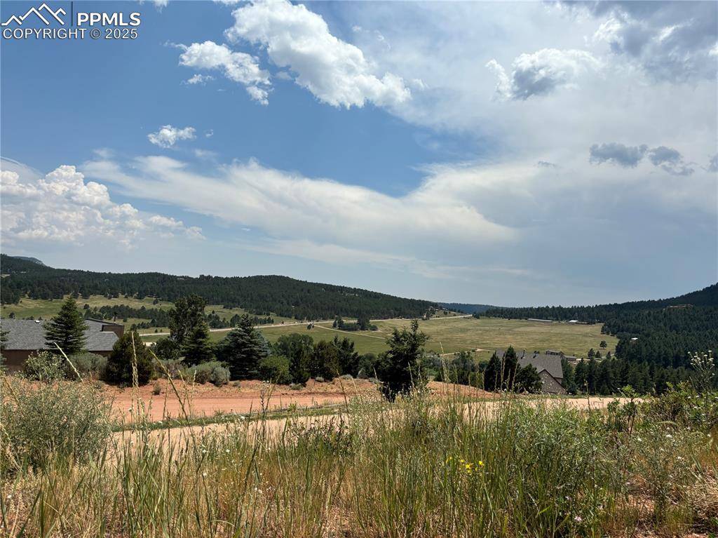 Larkspur, CO 80118,2288 Badger DR