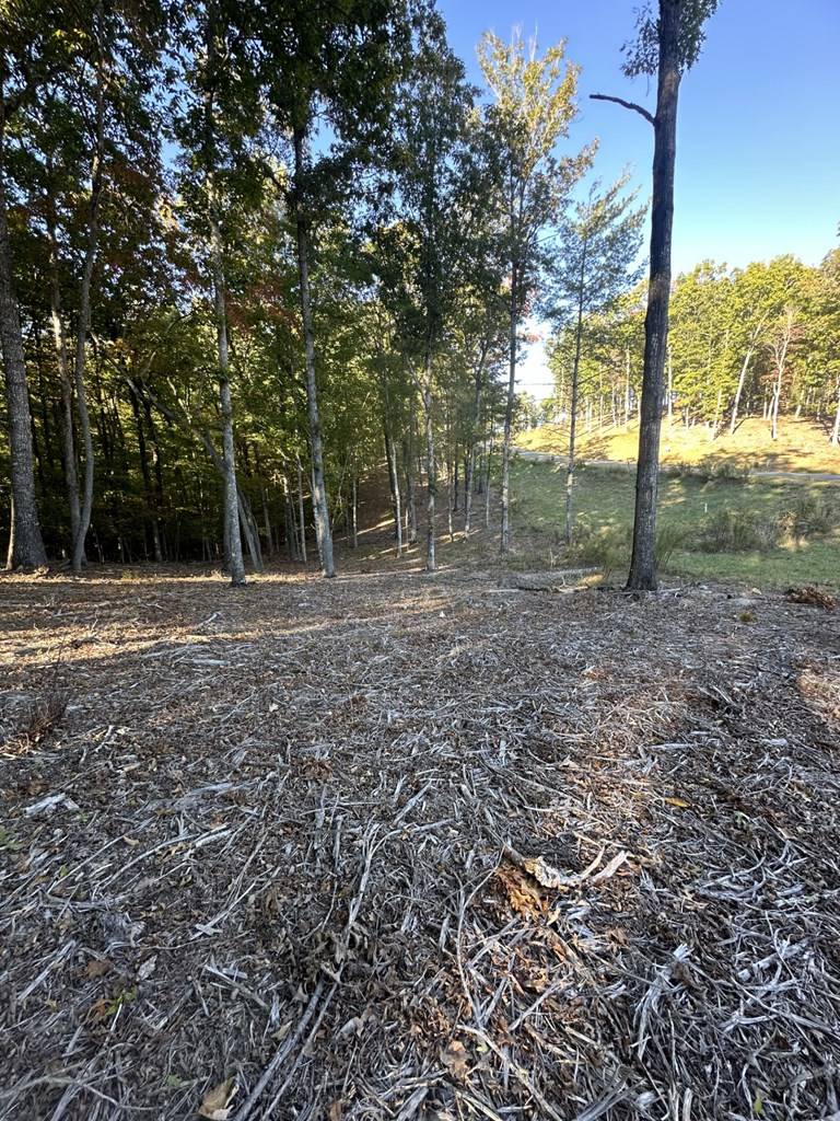 Morganton, GA 30560,Lot 42 Ridge Dr