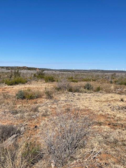 Merkel, TX 79536,TBD 75 acres CR 343