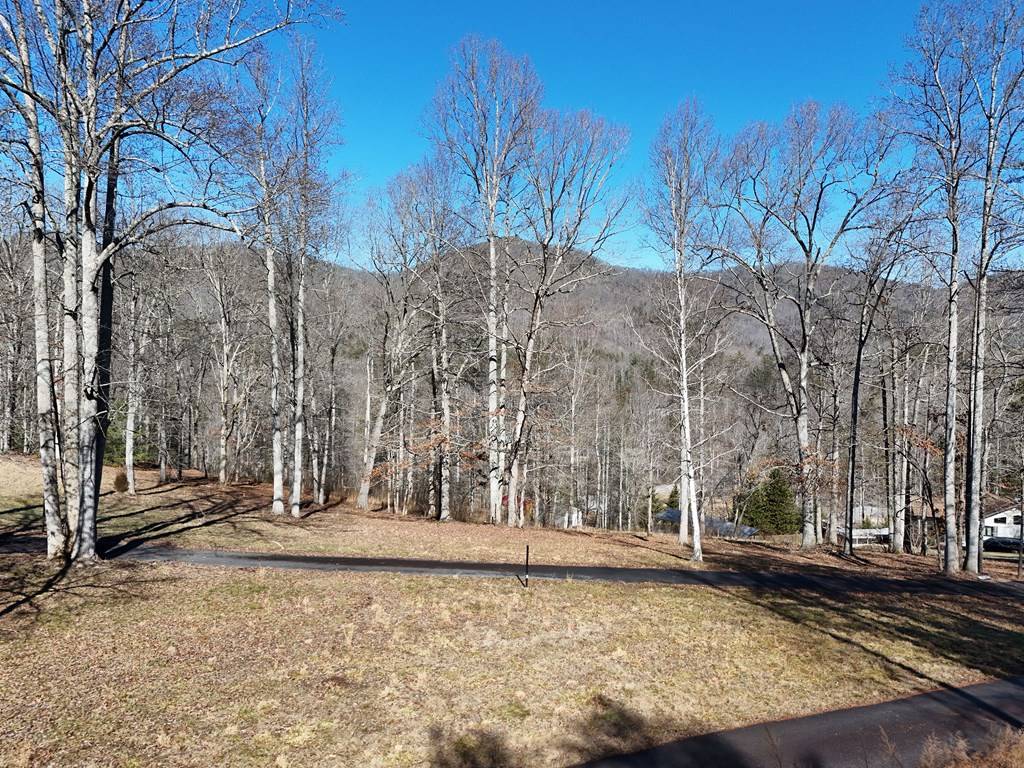 Blairsville, GA 30512,6 Norsk Drive