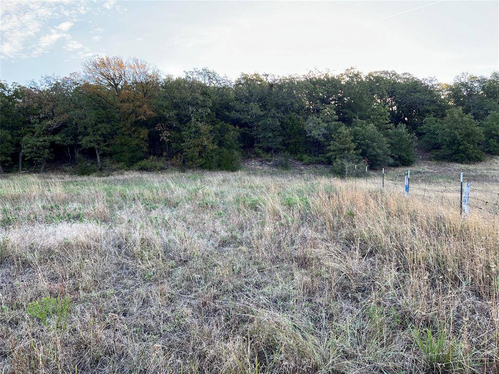Bowie, TX 76230,Lot 1 Edgin Road