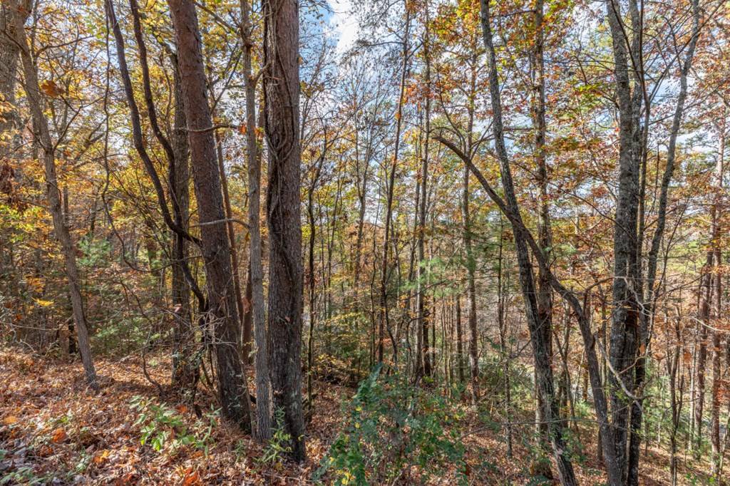 Mineral Bluff, GA 30559,Lot 1 Walker M. Sluder Farm Road