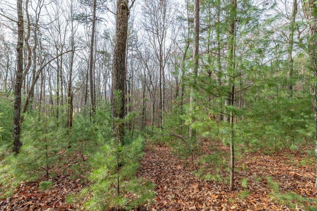 Blairsville, GA 30512,Lot 44 Sharp Top