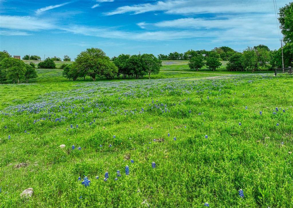 Ennis, TX 75119,TBD Alsdorf Road