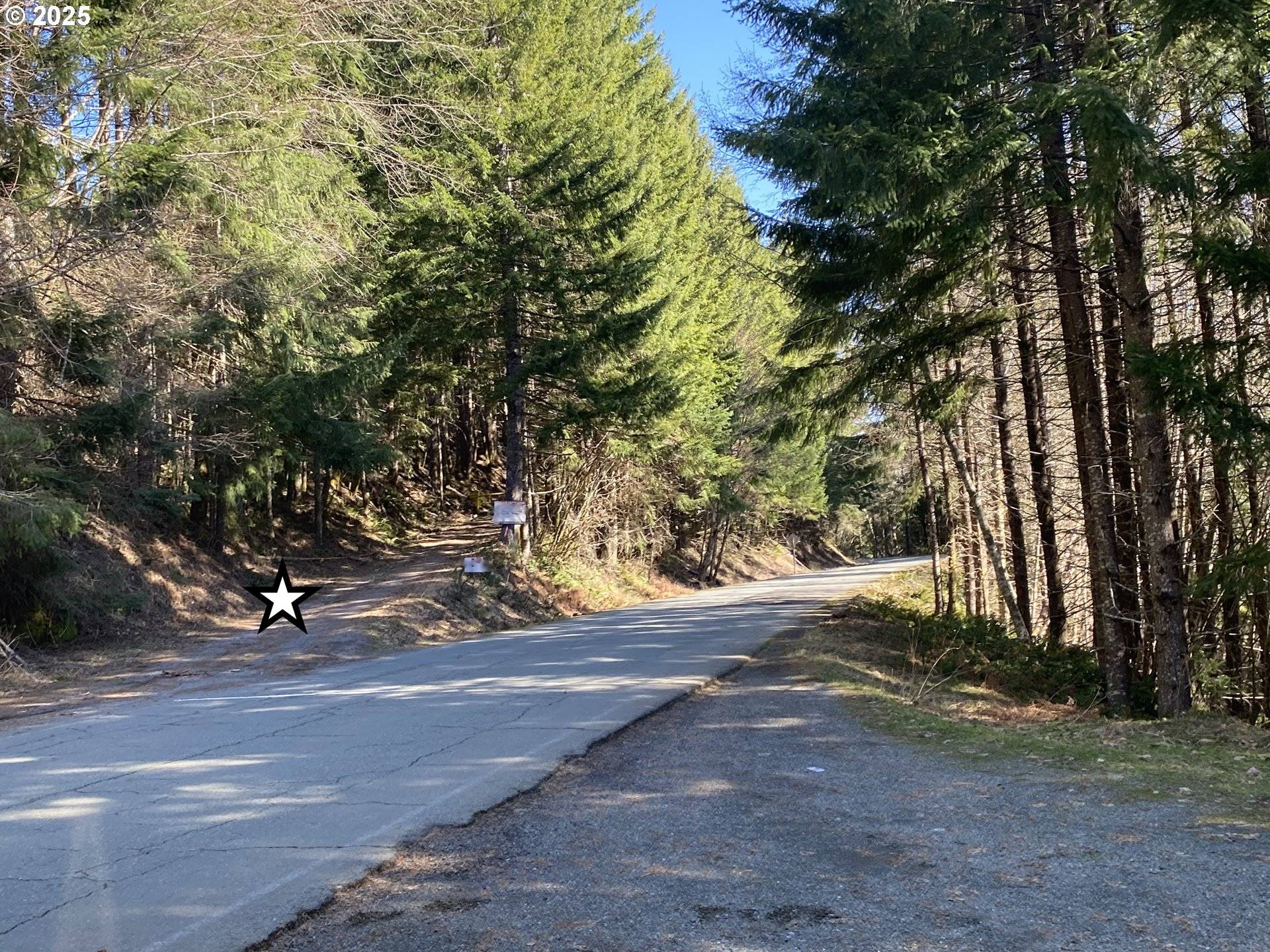 Cougar, WA 98616,CHEYEE RD